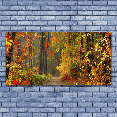 Quadro su vetro Foresta Natura Autunno