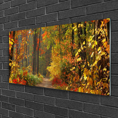 Quadro su vetro Foresta Natura Autunno