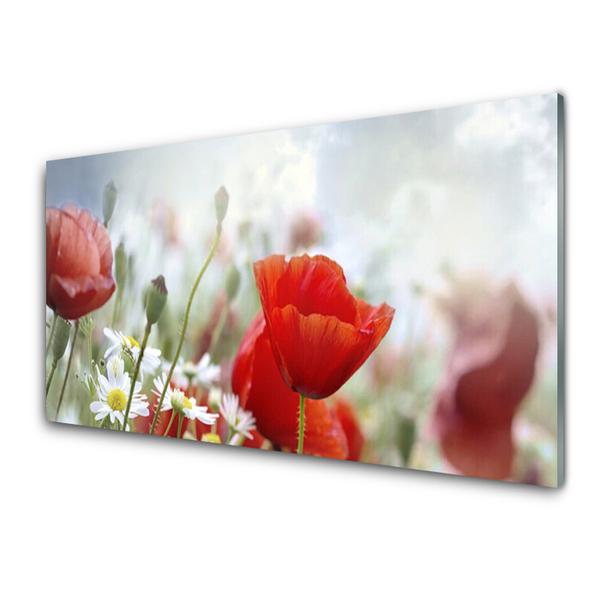 Quadro in vetro Fiori Petali Pianta