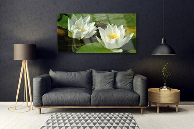 Quadro su vetro Fiori Piante Natura