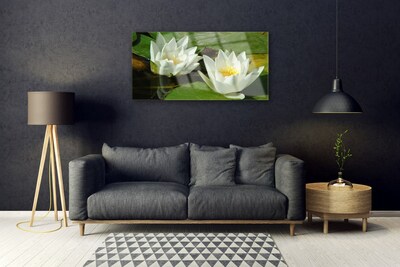 Quadro su vetro Fiori Piante Natura