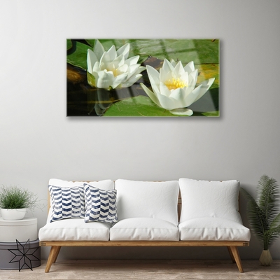 Quadro su vetro Fiori Piante Natura