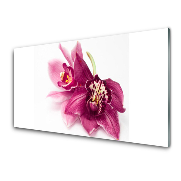 Quadro in vetro Fiori Pianta naturale