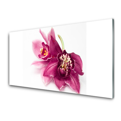 Quadro in vetro Fiori Pianta naturale