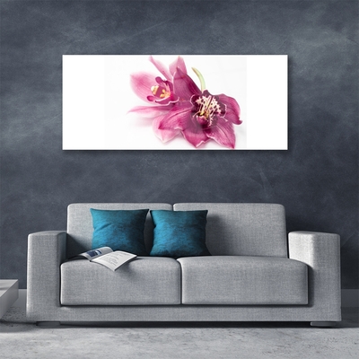 Quadro in vetro Fiori Pianta naturale