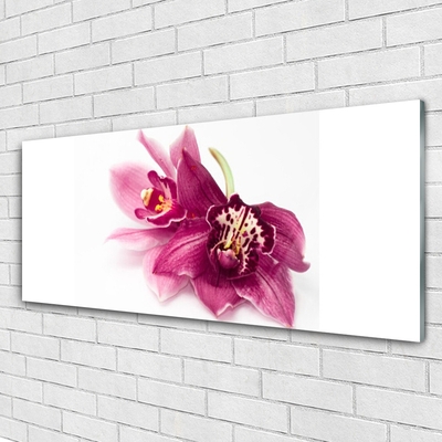 Quadro in vetro Fiori Pianta naturale