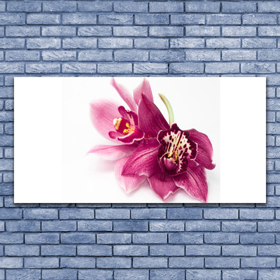 Quadro in vetro Fiori Pianta naturale