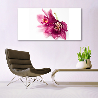 Quadro in vetro Fiori Pianta naturale