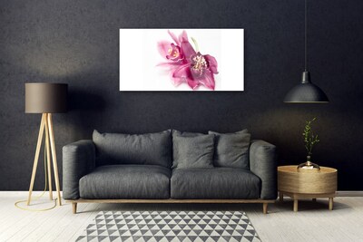Quadro in vetro Fiori Pianta naturale