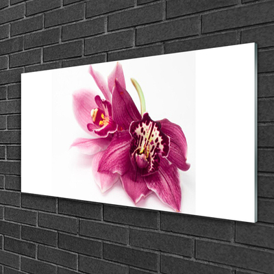 Quadro in vetro Fiori Pianta naturale