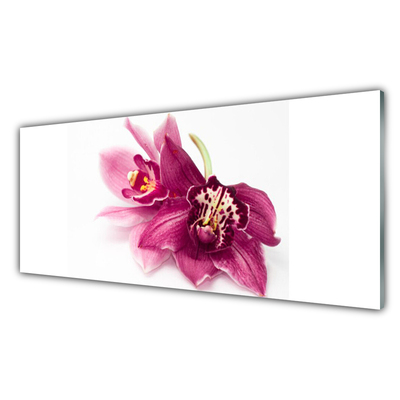 Quadro in vetro Fiori Pianta naturale