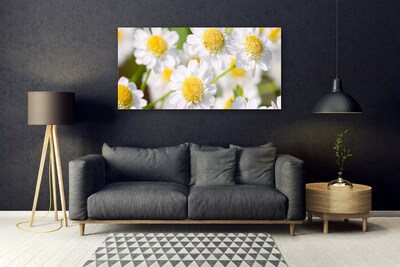 Quadro in vetro Margherita Fiori della natura