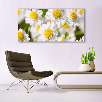 Quadro in vetro Margherita Fiori della natura