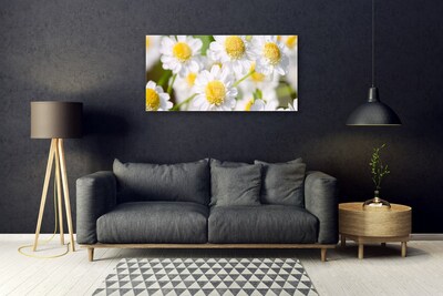 Quadro in vetro Margherita Fiori della natura