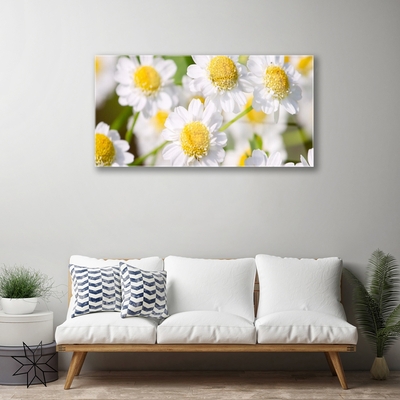 Quadro in vetro Margherita Fiori della natura