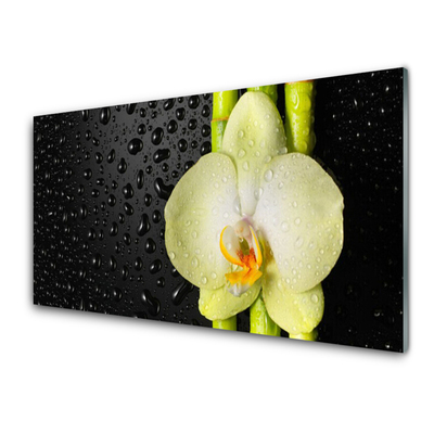 Quadro su vetro Fiori di orchidea di bambù