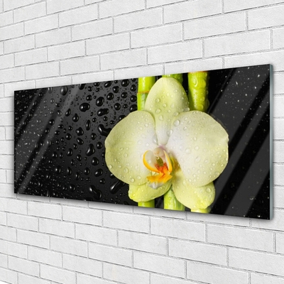 Quadro su vetro Fiori di orchidea di bambù