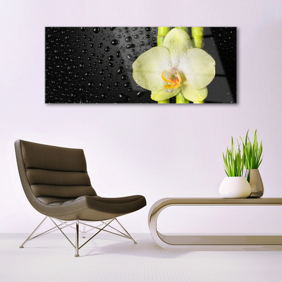 Quadro su vetro Fiori di orchidea di bambù