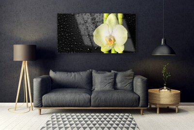 Quadro su vetro Fiori di orchidea di bambù