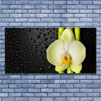 Quadro su vetro Fiori di orchidea di bambù