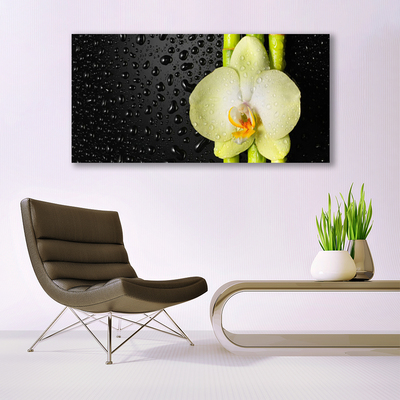 Quadro su vetro Fiori di orchidea di bambù