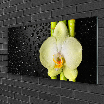 Quadro su vetro Fiori di orchidea di bambù