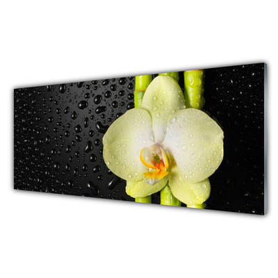 Quadro su vetro Fiori di orchidea di bambù