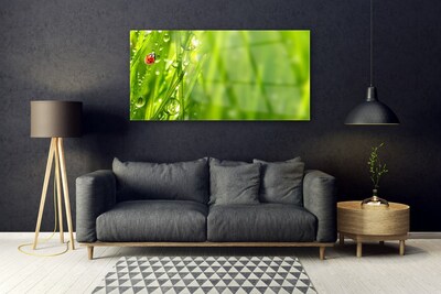 Quadro su vetro Erba coccinella Natura