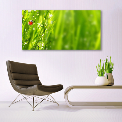 Quadro su vetro Erba coccinella Natura