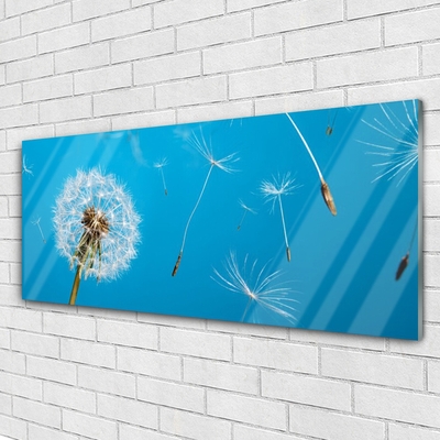 Quadro di vetro Soffiatori Fiori di natura