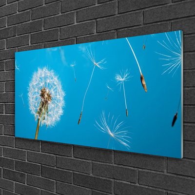 Quadro di vetro Soffiatori Fiori di natura