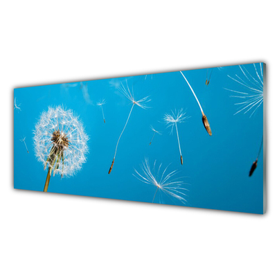 Quadro di vetro Soffiatori Fiori di natura