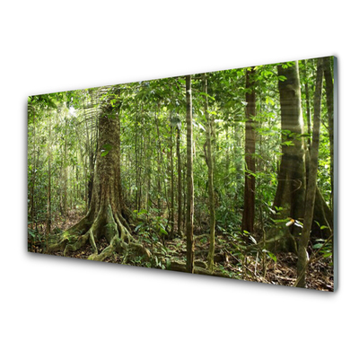 Quadro su vetro Foresta Natura Giungla Alberi