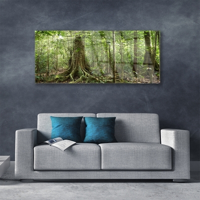 Quadro su vetro Foresta Natura Giungla Alberi