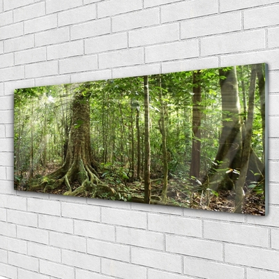 Quadro su vetro Foresta Natura Giungla Alberi