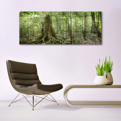 Quadro su vetro Foresta Natura Giungla Alberi