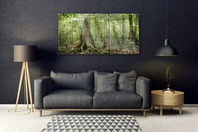 Quadro su vetro Foresta Natura Giungla Alberi