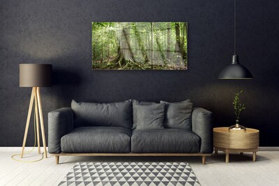 Quadro su vetro Foresta Natura Giungla Alberi