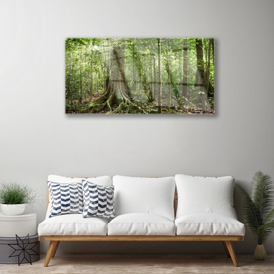 Quadro su vetro Foresta Natura Giungla Alberi