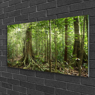 Quadro su vetro Foresta Natura Giungla Alberi