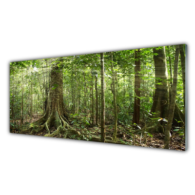 Quadro su vetro Foresta Natura Giungla Alberi