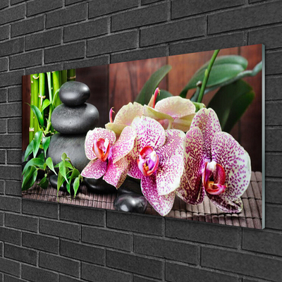 Quadro su vetro Spa Bamboo Orchid