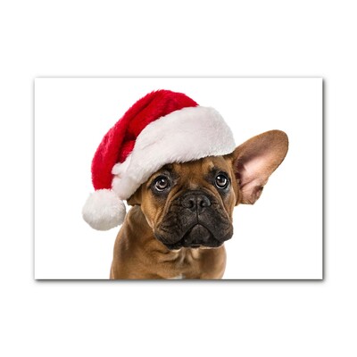 Quadro in vetro Bulldog cane di Natale