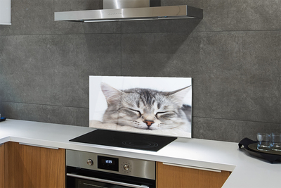 Rivestimento parete cucina Gatto addormentato