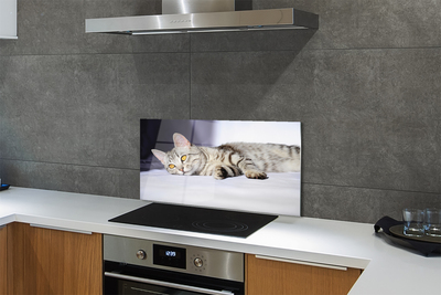 Rivestimento parete cucina Gatto sdraiato