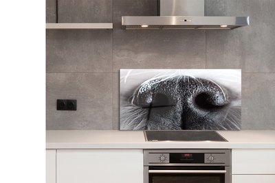 Rivestimento parete cucina Il naso del cane