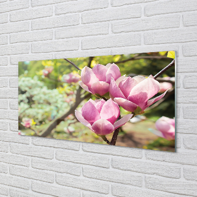 Rivestimento parete cucina Albero di magnolia