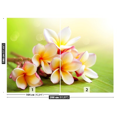 Carta da parati Fiori frangipani