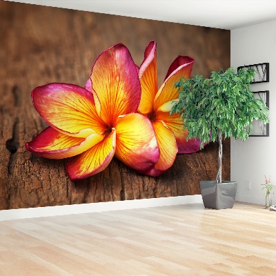 Carta da parati Plumeria Wood