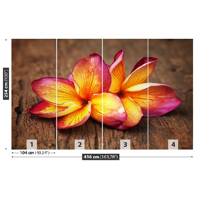 Carta da parati Plumeria Wood